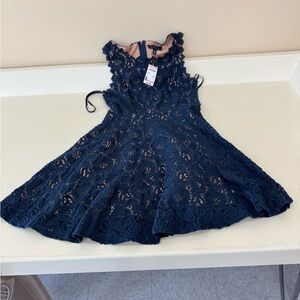 City Triangles Navy Lace Fit-and-Flare Dress with Blush Lining